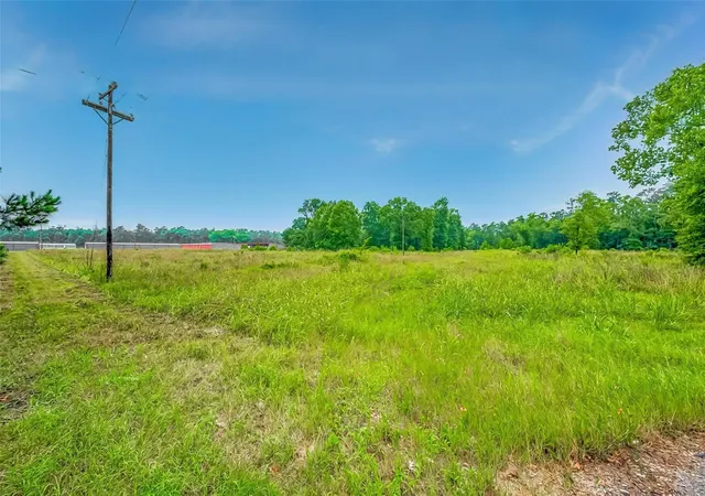 5th image of 0 Fm 3126, Livingston, TX 77351 | MLS# 67883146