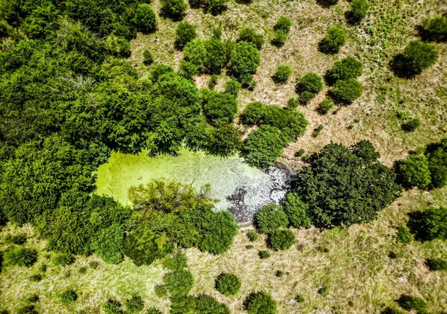 Photo 2 of Land for sale at 12224 Jinkins Rd, North Zulch, TX 77872 | MLS# 84402492 | Listing updated on 2026-08-18