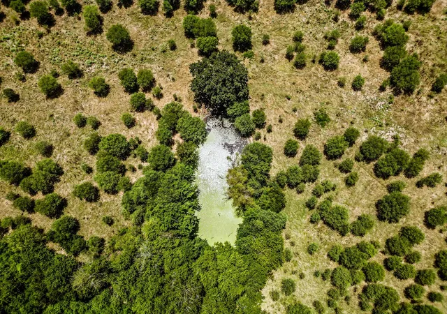 Photo 2 of Land for sale at 12224 Jinkins Rd, North Zulch, TX 77872 | MLS# 84402492 | Listing updated on 2026-08-18