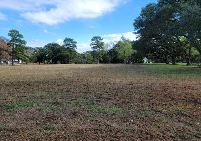 5th image of 0000 Burkhardt Rd, Tomball, TX 77377 | MLS# 74177219