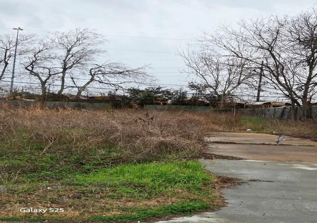 10th image of 21807 Mccamey Dr, Cypress, TX 77429 | MLS# 55498045