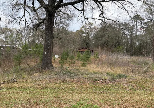 Homes for sale in Vidor, TX | 1345 3rd St, Vidor, TX 77662 | MLS# 18126670