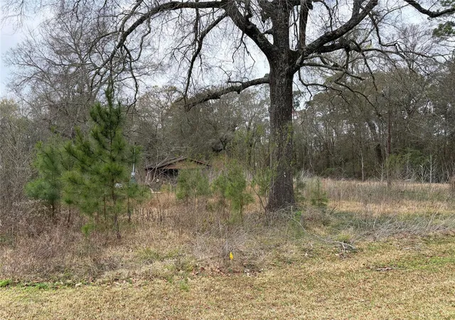 Homes for sale in Vidor, TX | 1345 3rd St, Vidor, TX 77662 | MLS# 18126670