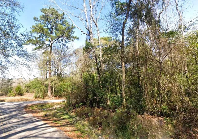 Photo 4 of Land for sale at 20807 Glenwood Rd, New Caney, TX 77357 | MLS# 24758326 | Listing updated on 2026-09-16