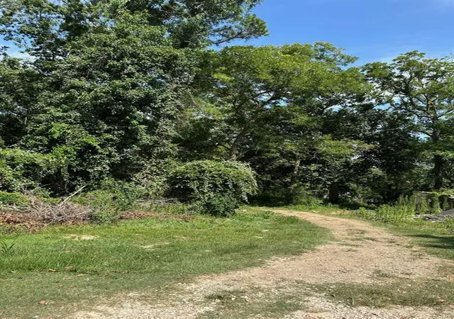 Photo 1 of Land for sale at 95 Rene Or Cr 443 St, Dayton, TX 77535 | MLS# 29204394 | Listing updated on 2026-03-31