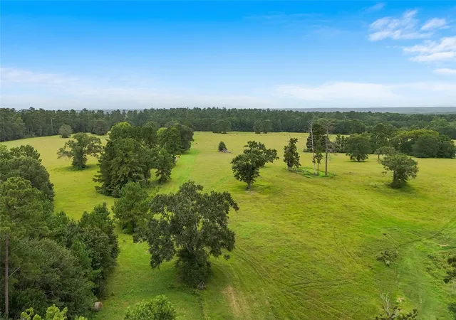 50th image of 2222 Fm 945 Rd S, Cleveland, TX 77328 | MLS# 57245179