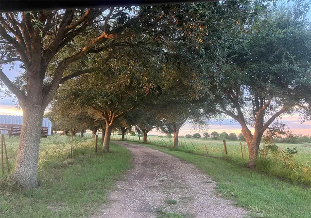 2nd image of 5848 Mieth Rd, Sealy, TX 77474 | MLS# 73578867