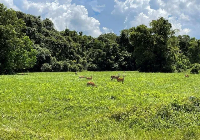 Photo 1 of Land for sale at 334 Lakeview Dr, Angleton, TX 77515 | MLS# 10423860 | Listing updated on 2026-08-26