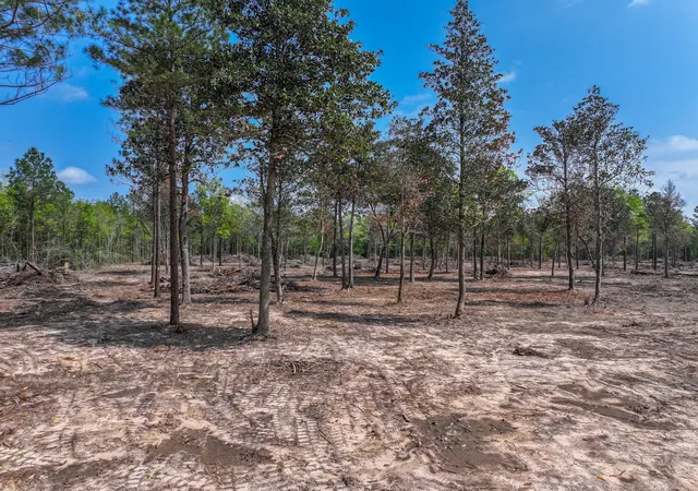 Photo 3 of Land for sale at 120 Royce Ln, Livingston, TX 77351 | MLS# 94523540 | Listing updated on 2026-07-24