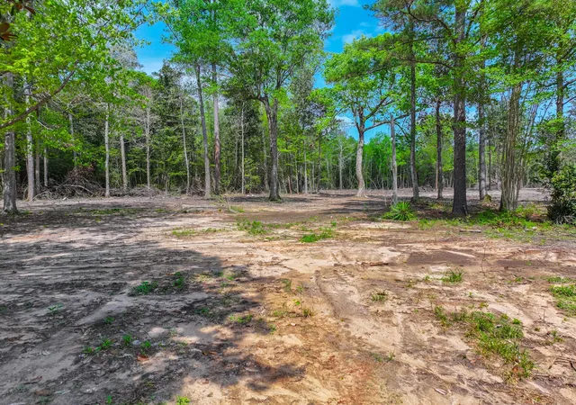 Photo 3 of Land for sale at 120 Royce Ln, Livingston, TX 77351 | MLS# 94523540 | Listing updated on 2026-07-24