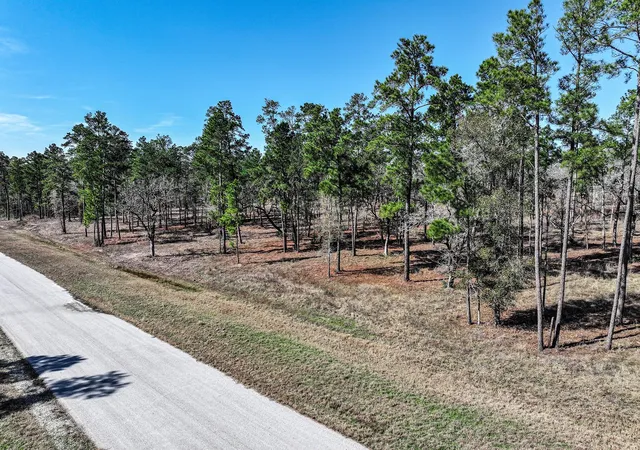 Photo 3 of Land for sale at 145 Ac Westview Dr, Huntsville, TX 77320 | MLS# 38828539 | Listing updated on 2026-07-21