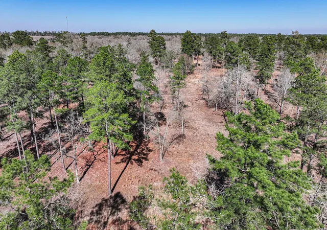 Photo 3 of Land for sale at 145 Ac Westview Dr, Huntsville, TX 77320 | MLS# 38828539 | Listing updated on 2026-07-21