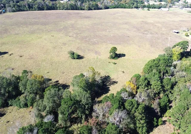 Photo 3 of Land for sale at 0 Augusta Rd, Grapeland, TX 75844 | MLS# 25522918 | Listing updated on 2025-12-17