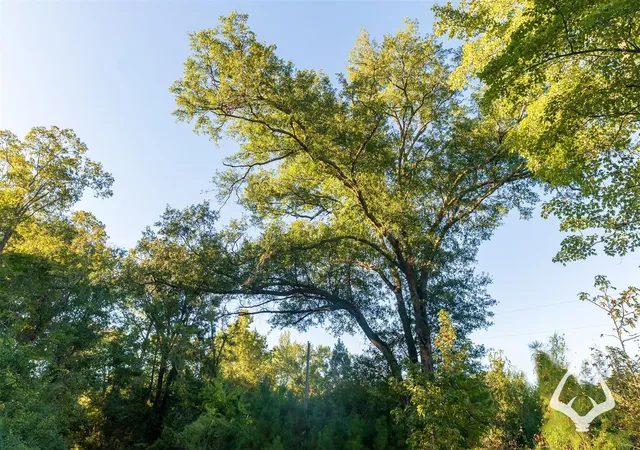 Photo 15 of Land for sale at 00 County Road 3250, Mount Enterprise, TX 75681 | MLS# 84607752 | Listing updated on 2026-08-29