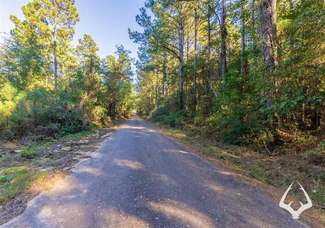 Photo 3 of Land for sale at 00 County Road 3250, Mount Enterprise, TX 75681 | MLS# 84607752 | Listing updated on 2026-08-29