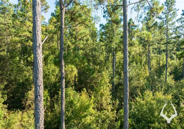 Photo 3 of Land for sale at 00 County Road 3250, Mount Enterprise, TX 75681 | MLS# 84607752 | Listing updated on 2026-08-29