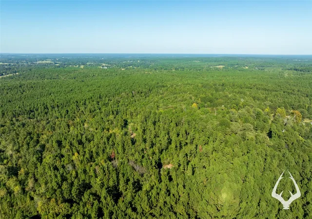 Photo 4 of Land for sale at 00 County Road 3250, Mount Enterprise, TX 75681 | MLS# 84607752 | Listing updated on 2026-08-29