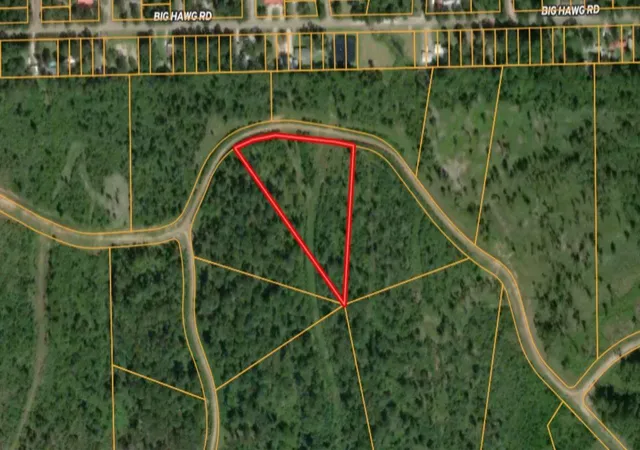 Photo 1 of Land for sale at 0000 Eagle Fls Blvd, Trinity, TX 75862 | MLS# 66086633 | Listing updated on 2026-05-12