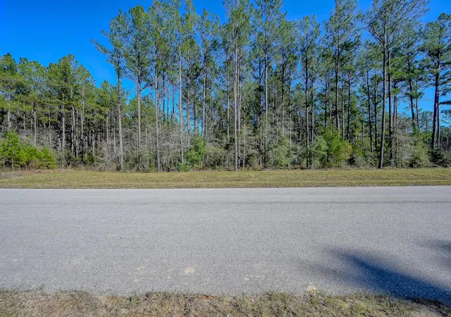 Photo 4 of Land for sale at 15688 Wooded Trl Way, Willis, TX 77378 | MLS# 73394075 | Listing updated on 2026-07-30