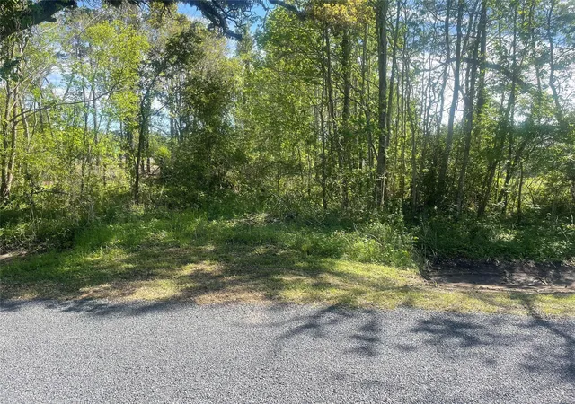 Photo 3 of Land for sale at 21207 I 10, Wallisville, TX 77597 | MLS# 33776866 | Listing updated on 2026-01-16