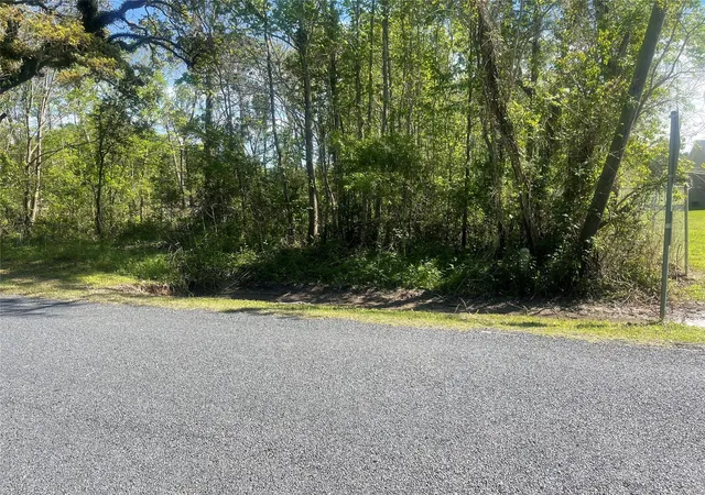 Photo 4 of Land for sale at 21207 I 10, Wallisville, TX 77597 | MLS# 33776866 | Listing updated on 2026-01-16