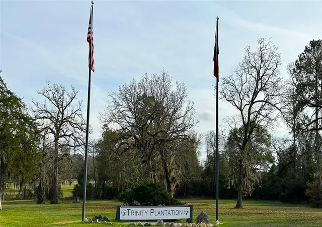 Photo 1 of Land for sale at Lot 25 Colomb St, Trinity, TX 75862 | MLS# 49273188 | Listing updated on 2026-05-09