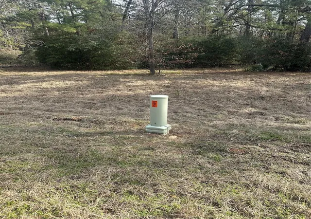 Photo 2 of Land for sale at Lot 25 Colomb St, Trinity, TX 75862 | MLS# 49273188 | Listing updated on 2026-05-09