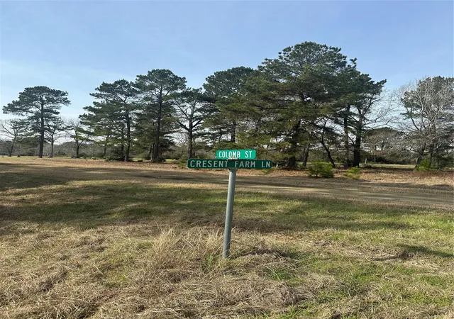 Photo 3 of Land for sale at Lot 25 Colomb St, Trinity, TX 75862 | MLS# 49273188 | Listing updated on 2026-05-09