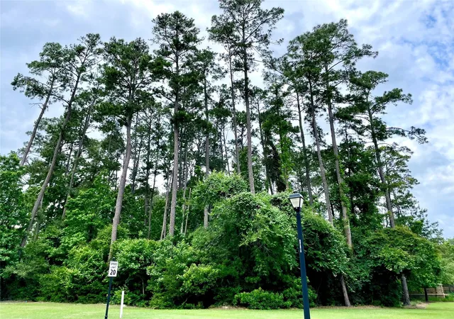 Photo 4 of Land for sale at 67 N Glenwild Cir, Spring, TX 77389 | MLS# 32911326 | Listing updated on 2026-08-27
