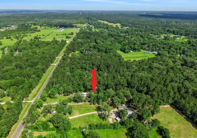 23rd image of 10792 Hwy 156, Coldspring, TX 77331 | MLS# 9267592