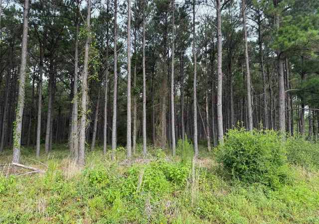 1st image of 162 Taylor Trl, Lovelady, TX 75851 | MLS# 21496224