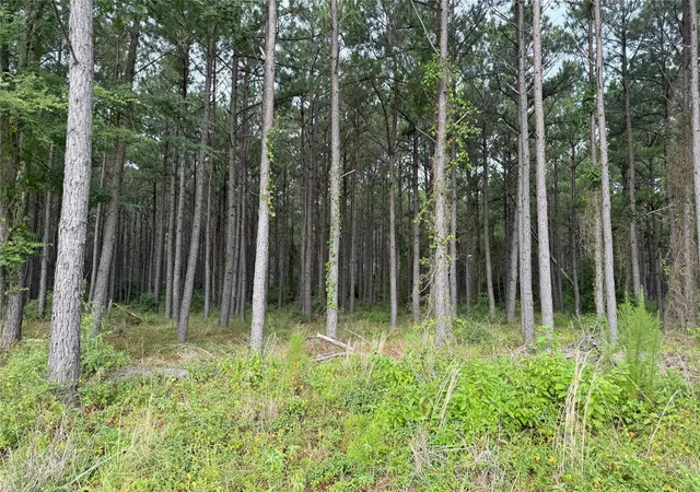 2nd image of 162 Taylor Trl, Lovelady, TX 75851 | MLS# 21496224