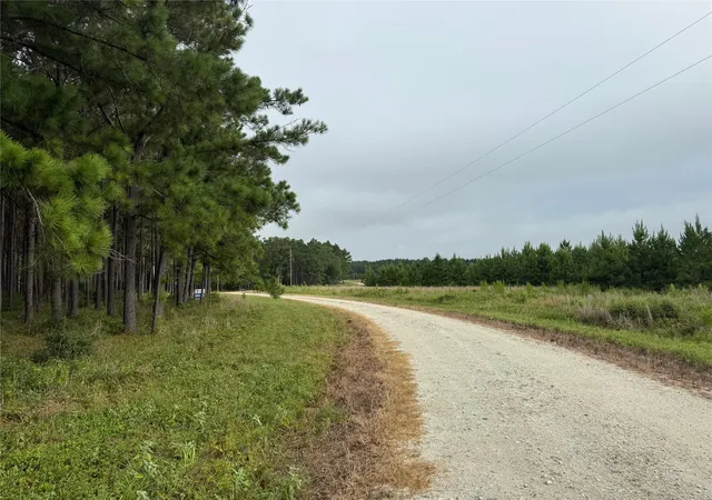 Photo 3 of Land for sale at 162 Taylor Trl, Lovelady, TX 75851 | MLS# 21496224 | Listing updated on 2026-08-30