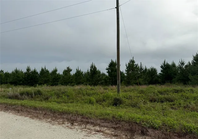 Photo 3 of Land for sale at 162 Taylor Trl, Lovelady, TX 75851 | MLS# 21496224 | Listing updated on 2026-08-30