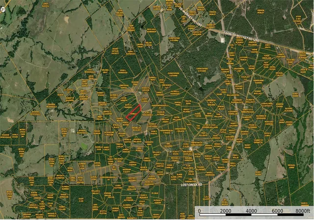 Photo 4 of Land for sale at 162 Taylor Trl, Lovelady, TX 75851 | MLS# 21496224 | Listing updated on 2026-08-30
