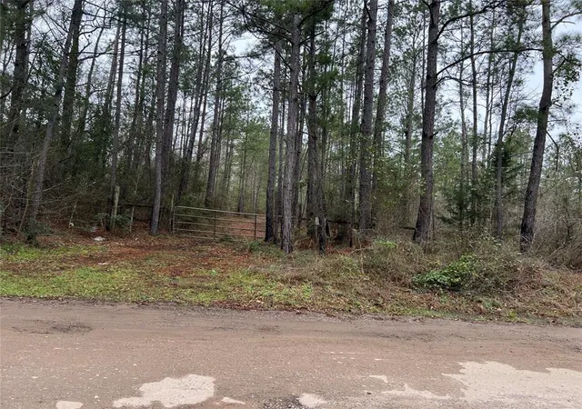 2nd image of Tbd Lee Turner Rd, Cleveland, TX 77328 | MLS# 63251548