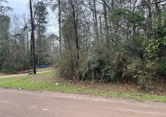 4th image of Tbd Lee Turner Rd, Cleveland, TX 77328 | MLS# 63251548
