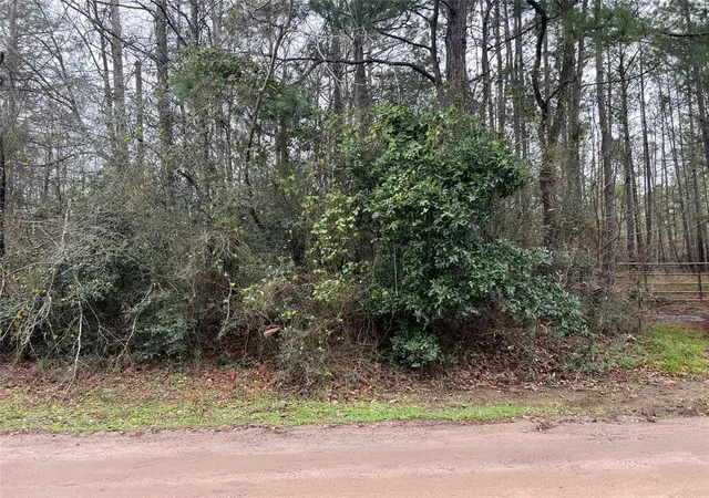 5th image of Tbd Lee Turner Rd, Cleveland, TX 77328 | MLS# 63251548