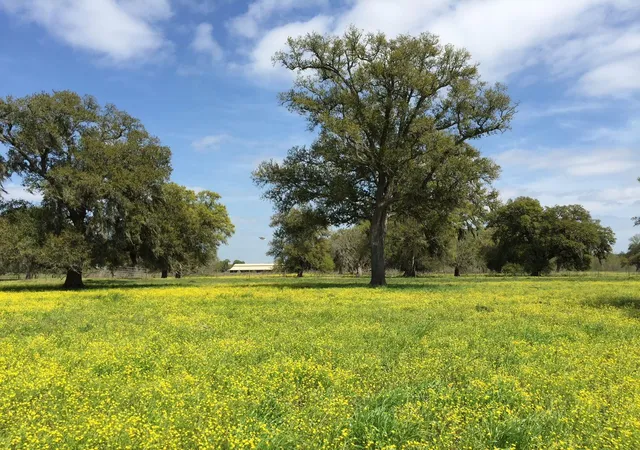 Photo 2 of Land for sale at 16427 Majestic Oaks Dr, Rosharon, TX 77583 | MLS# 20765610 | Listing updated on 2026-02-04