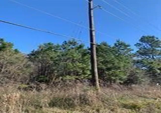 Photo 3 of Land for sale at 27833 Fm 2090 Rd, Splendora, TX 77372 | MLS# 34741419 | Listing updated on 2026-09-11