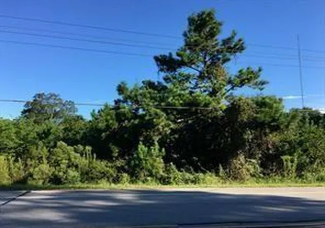 Photo 4 of Land for sale at 27833 Fm 2090 Rd, Splendora, TX 77372 | MLS# 34741419 | Listing updated on 2026-09-11