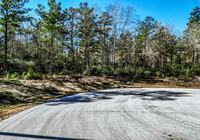 Photo 3 of Land for sale at Lot 42 Pyrite Ct, Huntsville, TX 77340 | MLS# 78338587 | Listing updated on 2026-05-25