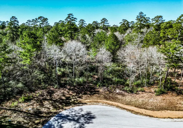 Photo 3 of Land for sale at Lot 42 Pyrite Ct, Huntsville, TX 77340 | MLS# 78338587 | Listing updated on 2026-05-25