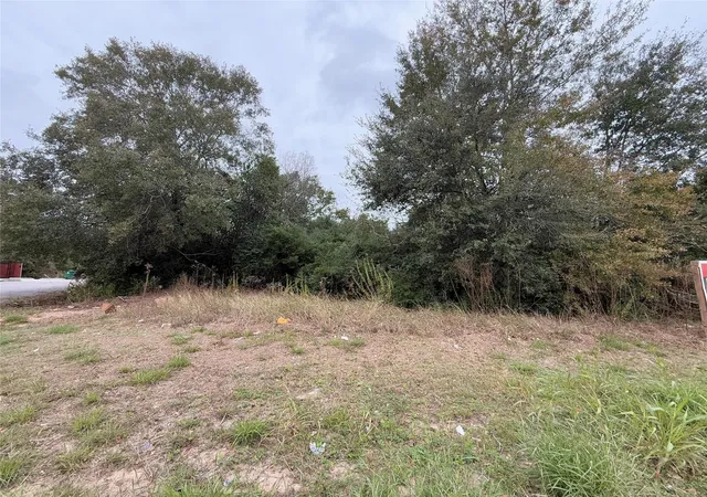 3rd image of Tbd Randolph St, Houston, TX 77075 | MLS# 41148659