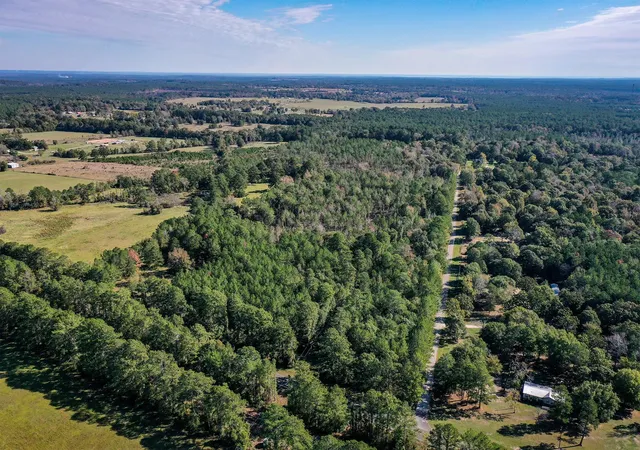 12th image of Tract 2 Fm 405, Huntsville, TX 77340 | MLS# 95818150