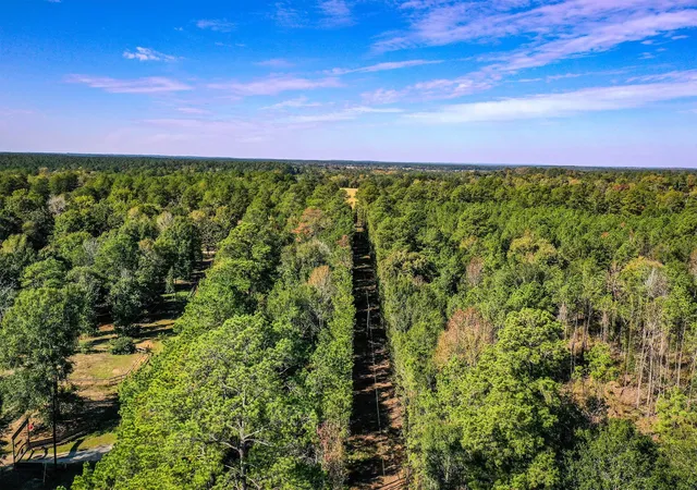 1st image of Tract 2 Fm 405, Huntsville, TX 77340 | MLS# 95818150