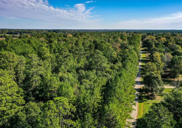 Photo 3 of Land for sale at Tract 2 Fm 405, Huntsville, TX 77340 | MLS# 95818150 | Listing updated on 2026-06-15
