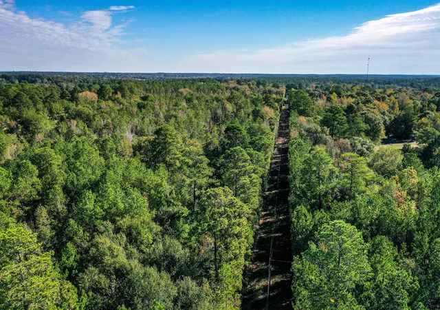 Photo 4 of Land for sale at Tract 2 Fm 405, Huntsville, TX 77340 | MLS# 95818150 | Listing updated on 2026-06-15