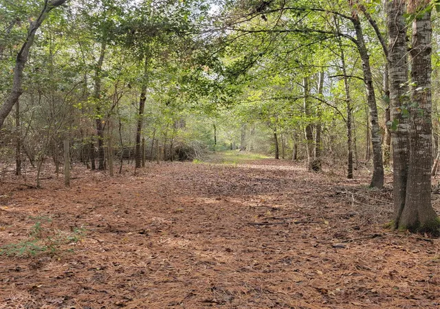 1st image of 27055 Sandy Creek, Magnolia, TX 77355 | MLS# 10466939