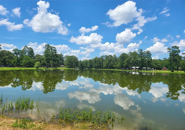 26th image of 27055 Sandy Creek, Magnolia, TX 77355 | MLS# 10466939